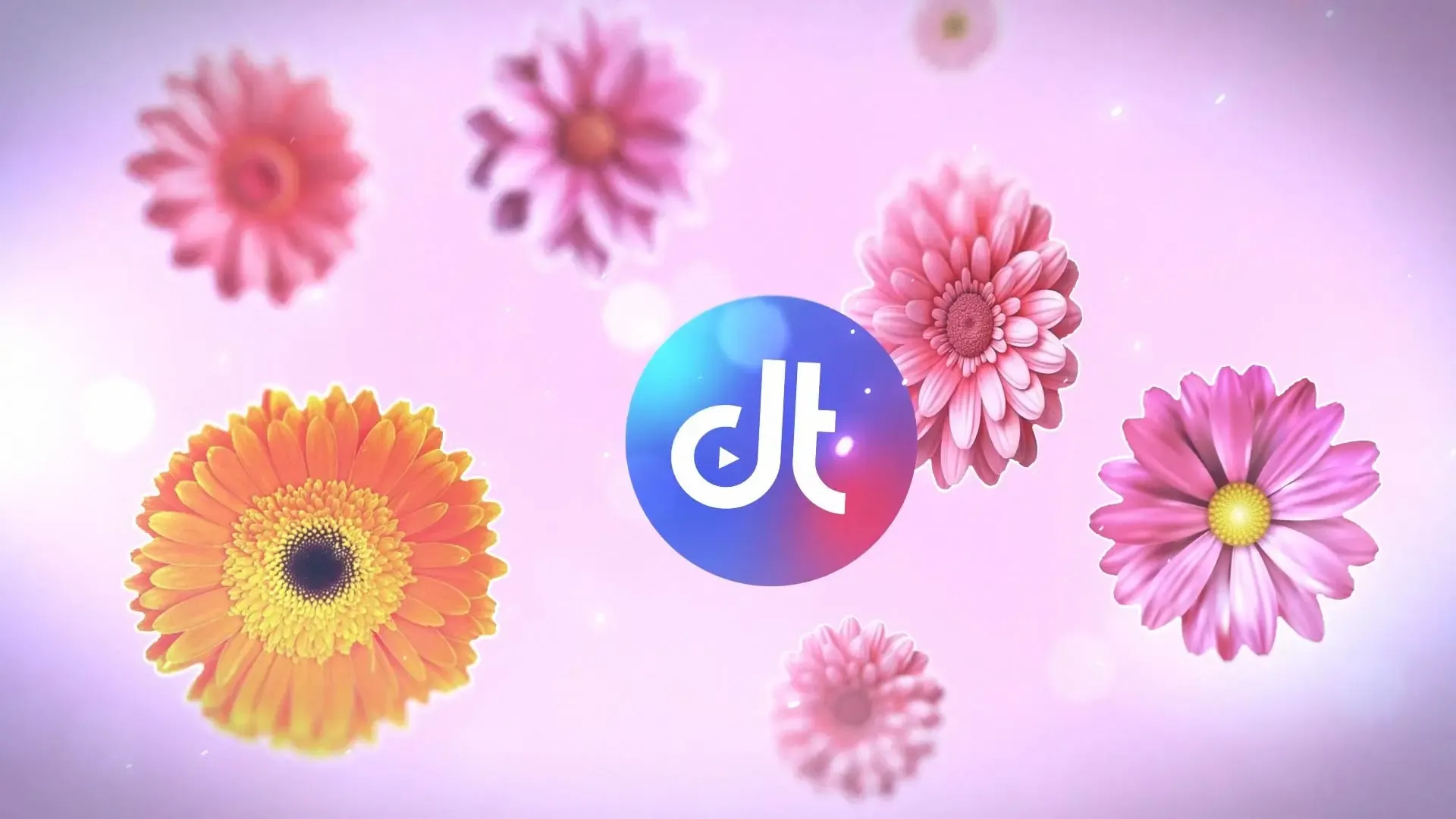 Colorful 3D Flower Logo Reveal